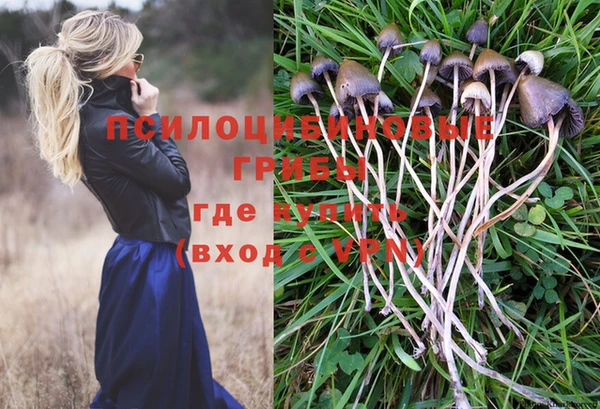 бошки Куйбышев