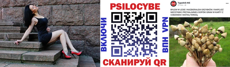 Галлюциногенные грибы прущие грибы  Купить закладки  Дербент 